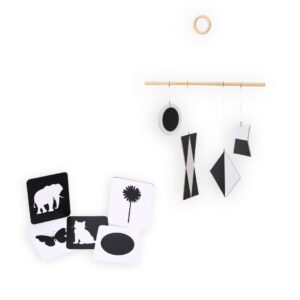 munari-and-b-w-cards