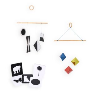 Munari & Octahedron Set with B/W Cards